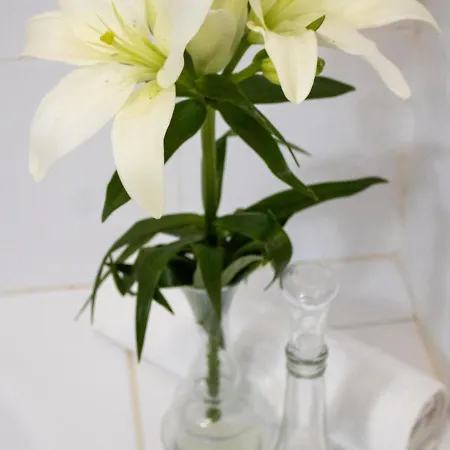 Apartamento Puesta De Sol 3ar